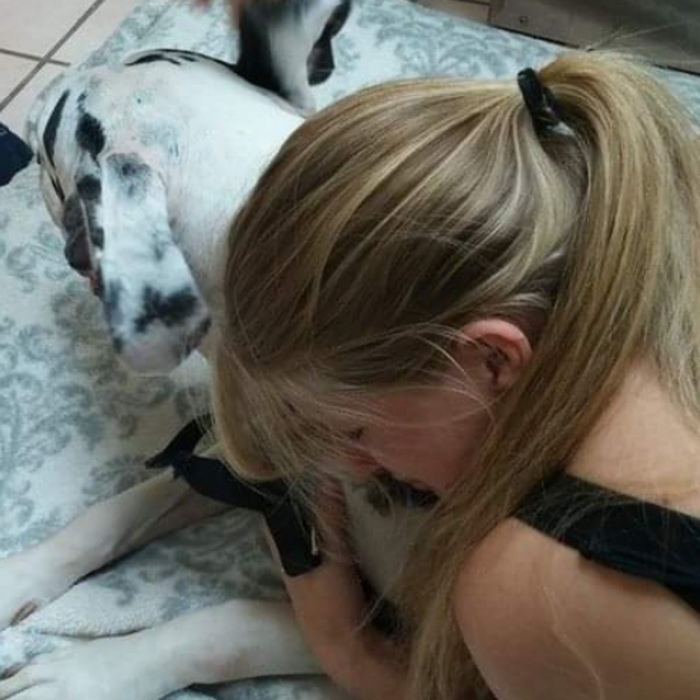 🐶💓LIVE NOW💓🐶 HELP US HELP THEM SHOP OUR 🐕🐈🐾RESCUE CLOSET - Picture 6 of 14